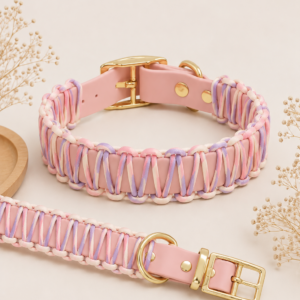 accessoires pastel et élégants à boucle dorée
