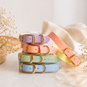 ceinture en pastel avec boucles dorées