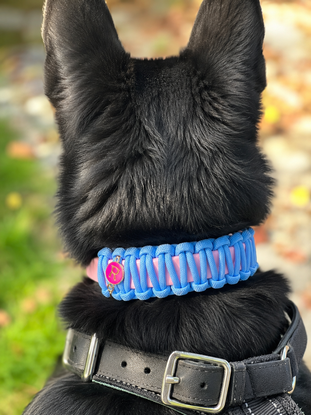 Accueil - Équipements pour chiens artisanaux et personnalisés sur mesure Collier artisanal personnalisé