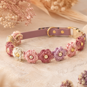 Collier fleuri en paracorde fait main pour chien avec fleurs tressées colorées et fermeture en Biothane.