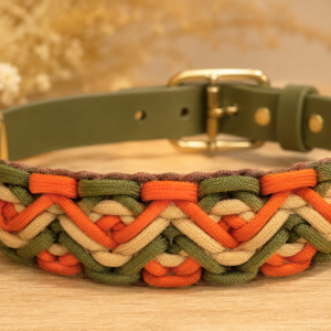 Collier pour chien en Biothane avec tressage en paracorde personnalisable, présentation des quatre couleurs à choisir grâce à des flèches et des repères colorés.