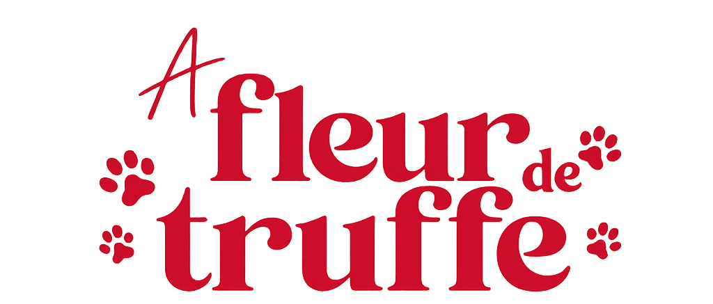 Atelier de création canine sur mesure