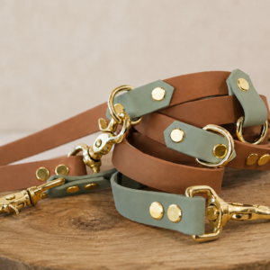 Laisse multiposition en Biothane terracotta et vert sauge avec bouclerie dorée, fabriquée sur mesure pour chien.